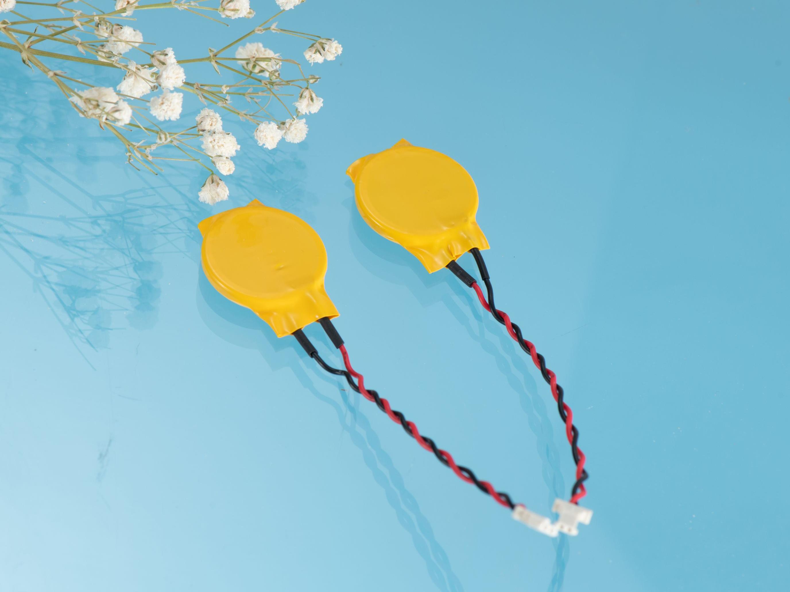 紐扣電池組CR1220,3V紐扣電池加工焊腳/焊線 CR1220帶端子線